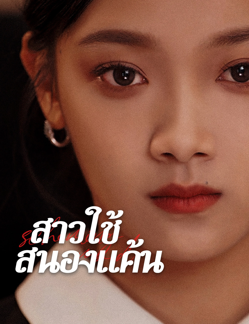 โปสเตอร์ สาวใช้สนองแค้น