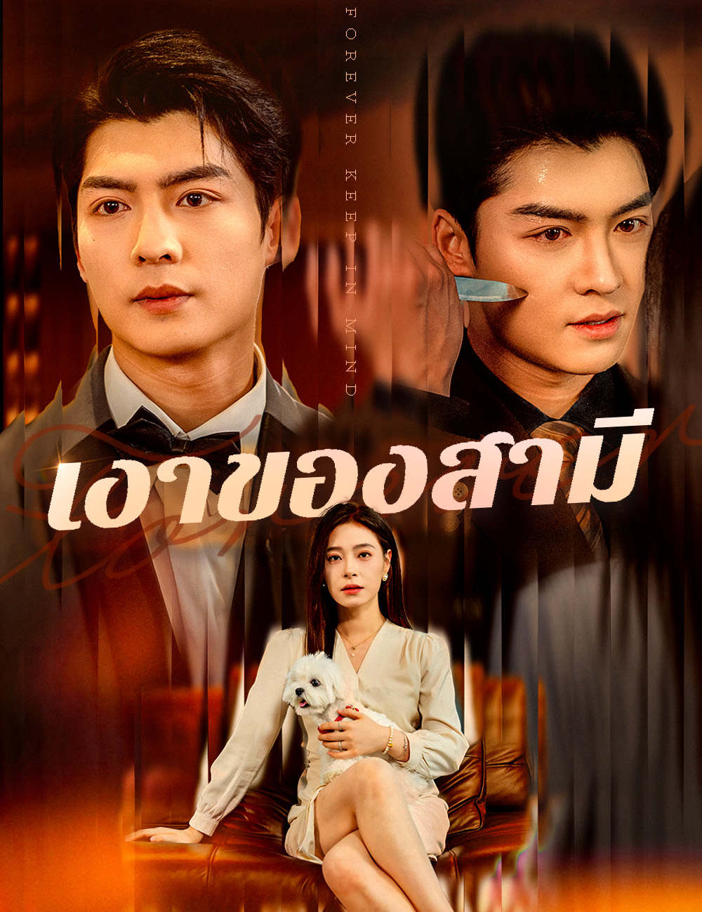 โปสเตอร์ เงาของสามี 