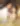 image-やがて君と巡り合う