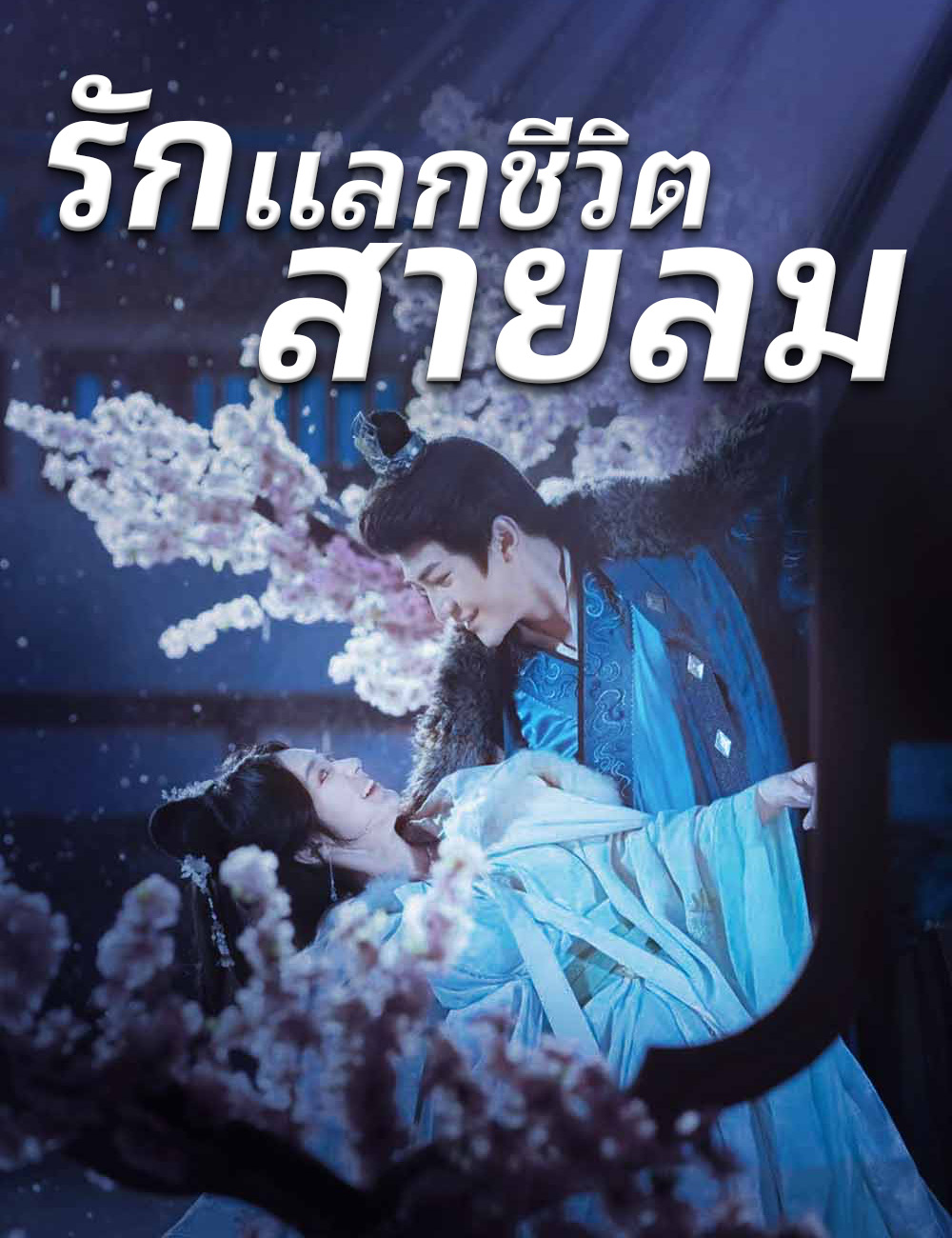 โปสเตอร์ รักแลกชีวิตสายลม