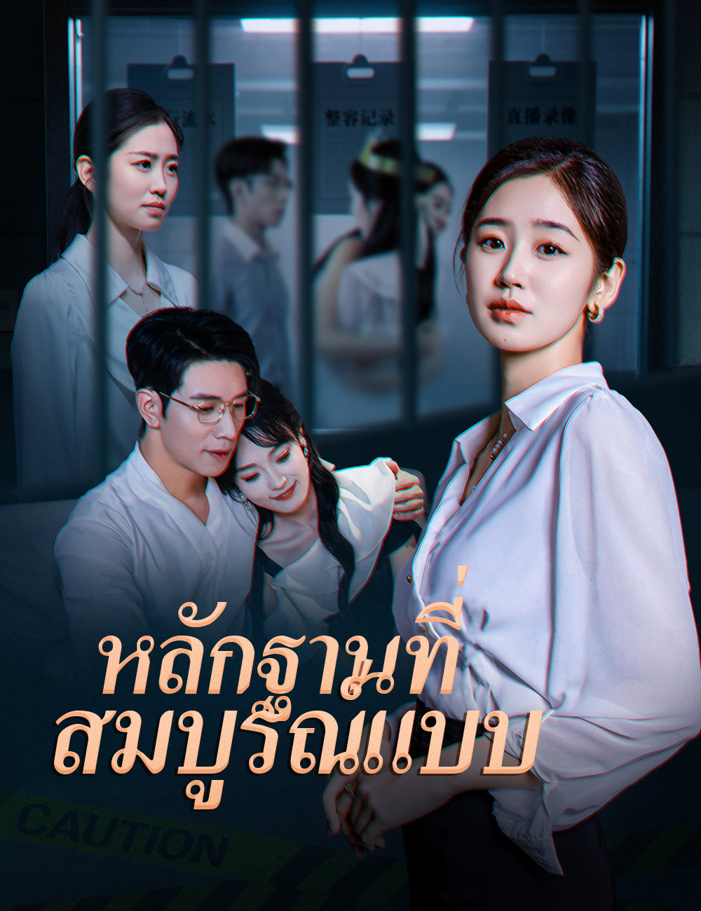 โปสเตอร์ หลักฐานที่สมบูรณ์แบบ