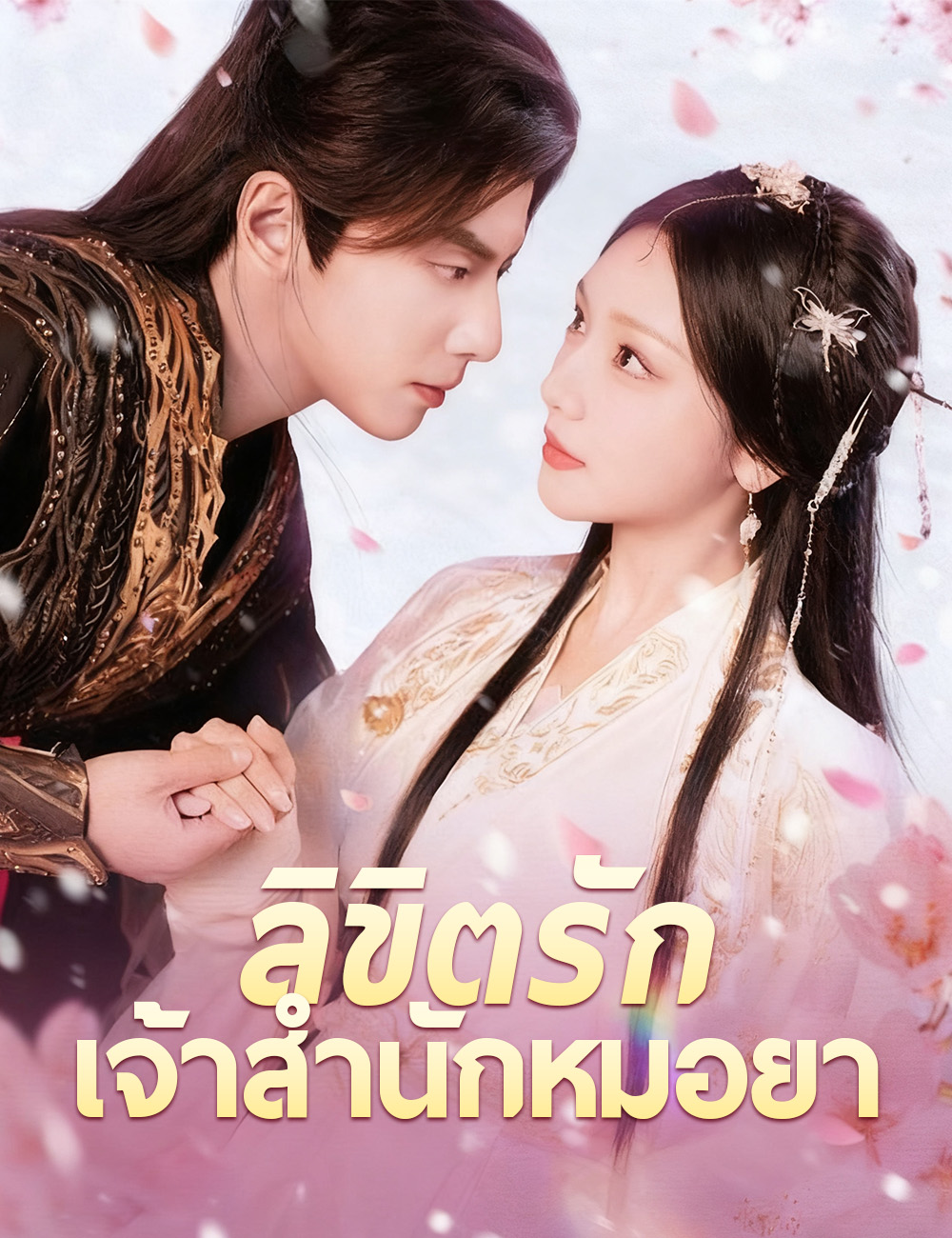 โปสเตอร์ ลิขิตรักเจ้าสำนักหมอยา