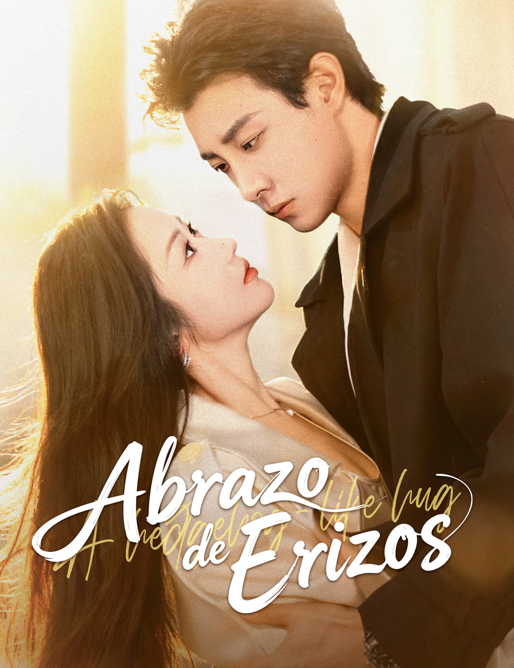 Abrazo de Erizos