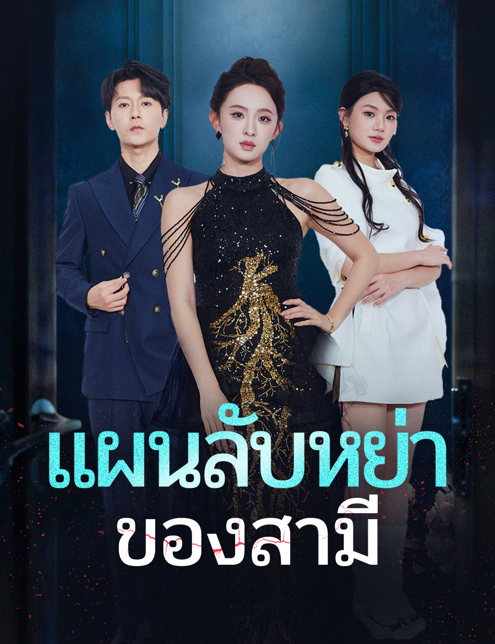 โปสเตอร์ แผนลับหย่าของสามี