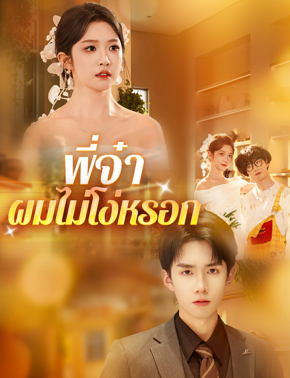 โปสเตอร์ พี่จ๋า ผมไม่โง่หรอก