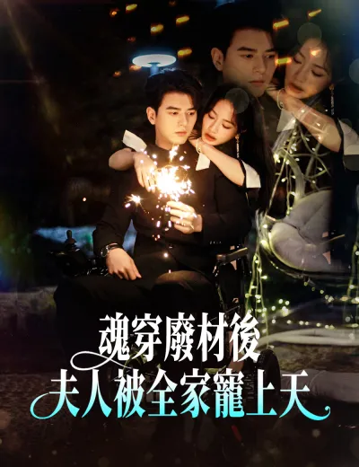 魂穿廢材後夫人被全家寵上天