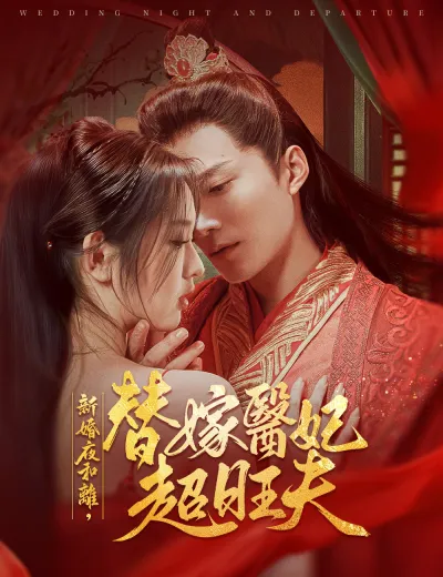 新婚夜和離，替嫁醫妃超旺夫