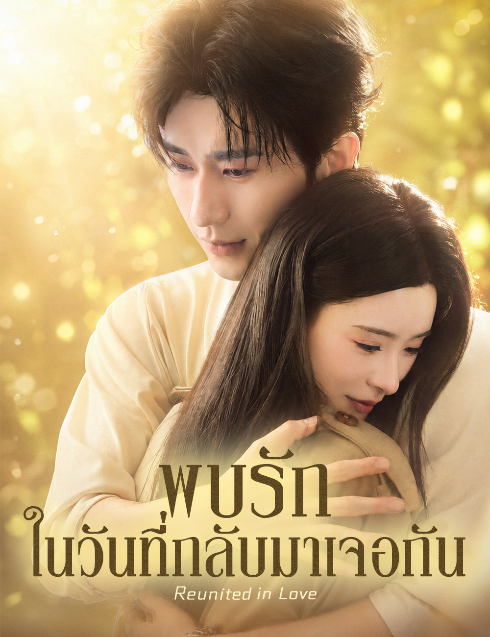 โปสเตอร์ พบรักในวันที่กลับมาเจอกัน (ฉบับพากย์ )